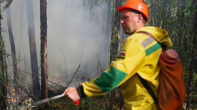 В Якутии всего за сутки удалось сократить площадь природных пожаров на 20 тысяч гектаров