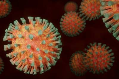 В Карелии зафиксировали очередную смерть от коронавируса