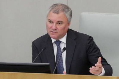 Володин поручил подключить ФСБ и МВД к проверке двойного гражданства у депутатов