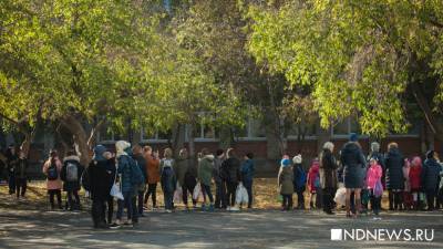 Вместо линеек 1 сентября в школах Свердловской области проведут уроки об изменениях в Конституции