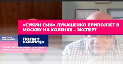«Сукин сын» Лукашенко приползёт в Москву на коленях – эксперт