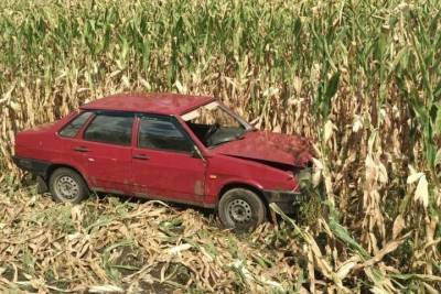 На Кубани пьяный водитель ВАЗ-21099 слетел в кукурузное поле и сбежал с места аварии