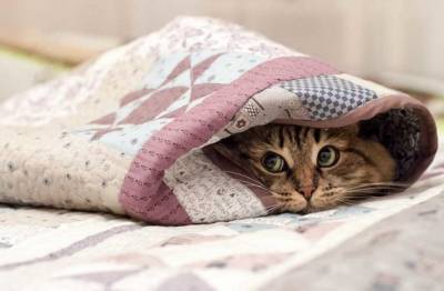 "Доставайте одеяла": Синоптик сообщила, где в Украине температура может упасть до +9 градусов
