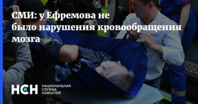 СМИ: у Ефремова не было нарушения кровообращения мозга