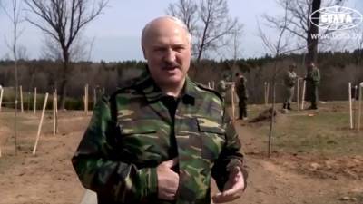 Лукашенко предупредил о последствиях забастовок на предприятиях