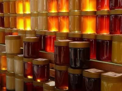 Специалисты объяснили, как правильно есть мед