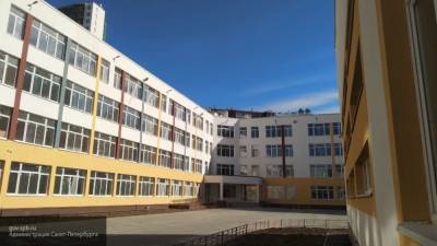 Дети в Петербурге с сентября начнут обучение в 19 новых учреждениях