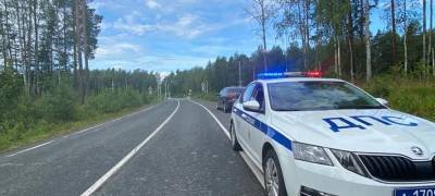 В Карелии уже сегодня пройдут сплошные проверки автомобилистов на трезвость