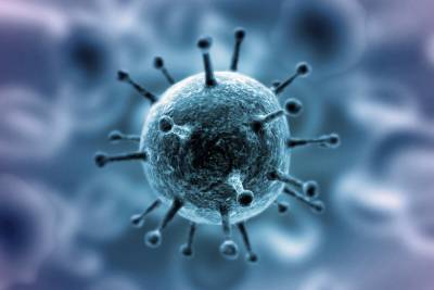 За последние сутки в Поморье выявлено 67 случаев коронавируса