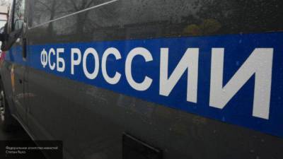 ФСБ проведет три экспертизы по уголовному делу блогера Пыжа