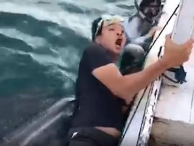 Китовая акула до смерти напугала туриста, который делал с ней селфи