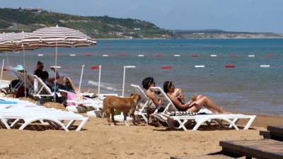 Россиян предостерегли от жуликов на курортах Турции
