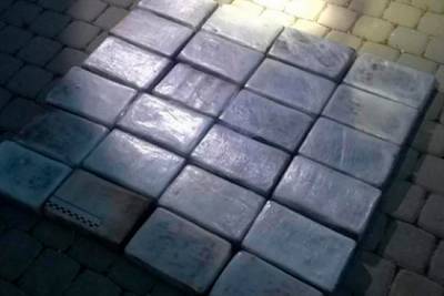 В порту Петербурга изъяли более 25 килограммов кокаина