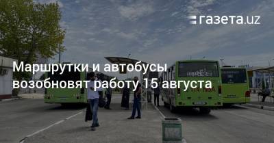Автобусы и маршрутки возобновят работу 15 августа