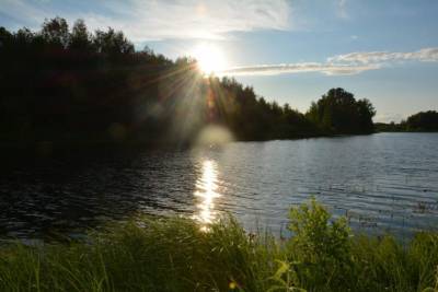 Озеро Карасное в Бутурлинском районе возьмут под государственную охрану