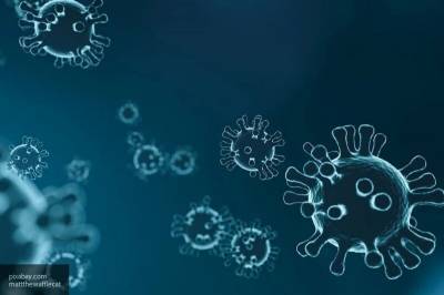 Пандемия коронавируса: самое важное за 14 августа