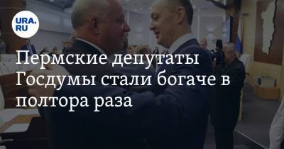Пермские депутаты Госдумы стали богаче в полтора раза