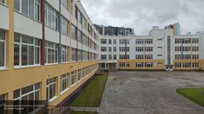 Учебный год петербургские дети начнут в 19 новых садах и школах