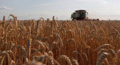 Украинские аграрии уже собрали 37 миллионов тонн зерна нового урожая