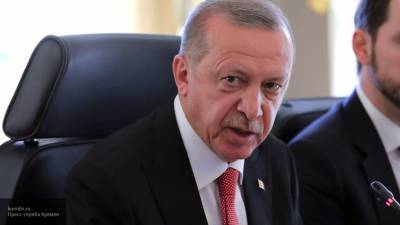 Турецкий депутат: Эрдоган добивается целей при помощи террористов