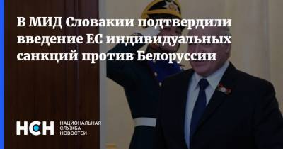 В МИД Словакии подтвердили введение ЕС индивидуальных санкций против Белоруссии