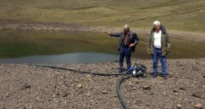 Жемчужина для скотины: как замкнутый круг контроля губит горное озеро в Армении