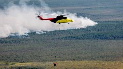 В России за сутки ликвидировали 53 лесных пожара