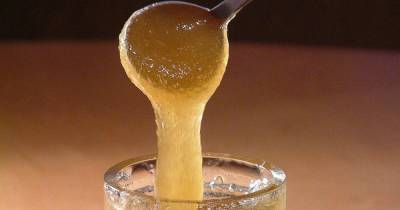 Названа безопасная доза меда