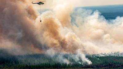 В России за сутки потушили 53 лесных пожара