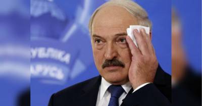 Ответит за убийства в Гааге: оппозиция начал сбор доказательств вины Лукашенко