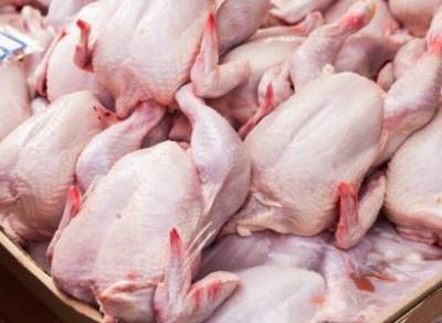 Филиппины ввели временный запрет на импорт мяса птицы из Бразилии из-за боязни коронавируса