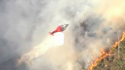 Природный пожар в Калифорнии: огнем охвачено 11,6 тысячи гектаров