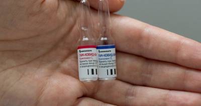 Россиян могут обеспечить вакциной от COVID-19 за год – глава НИЦ им. Гамалеи