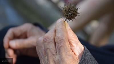 Уфимские подростки пытались зарезать 93-летнюю бабушку