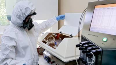 Более 32 млн тестов на коронавирус проведено в России