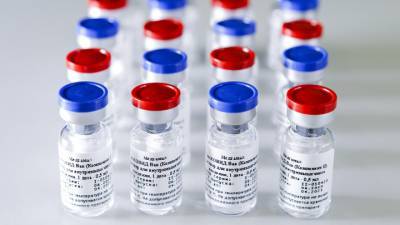 Гинцбург: вакциной от коронавируса россиян обеспечат примерно за год