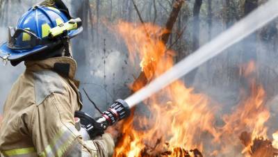 В Калифорнии почти 5,5 тысяч домов находятся под угрозой из-за природного пожара