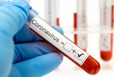 Новые случаи коронавируса выявлены в восьми районах Ленобласти