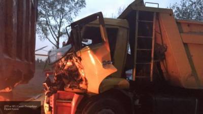 Водитель грузовика погиб в ДТП на трассе М10 под Тверью