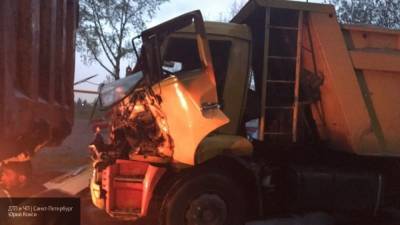Один человек погиб при столкновении грузовиков под Тверью