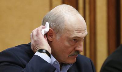 Лукашенко предупредил Путина об опасности "белорусской волны"