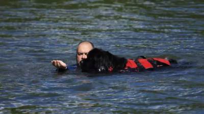 Тренировка собак-водолазов в акватории Стравинского затона