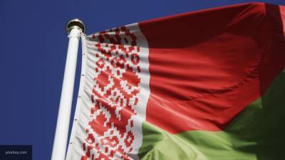 Двум депутатам Европарламента отказали во въезде на территорию Белоруссии