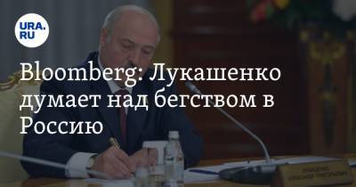 Bloomberg: Лукашенко думает над бегством в Россию