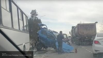 Восемь пассажиров микроавтобуса пострадали при массовом ДТП под Смоленском