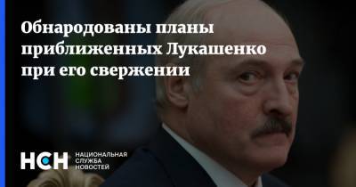 Обнародованы планы приближенных Лукашенко при его свержении