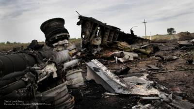 Гражданин Израиля не оценил ответы следствия на неудобные вопросы по MH17