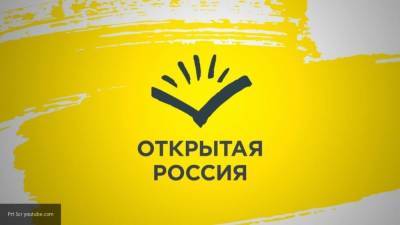 Рагозина: "Открытка" пожертвовала свободой Важенкова ради "низких целей"