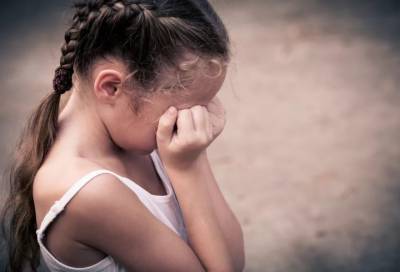 Нелегальный мигрант надругался над 6-летней девочкой в Ленобласти