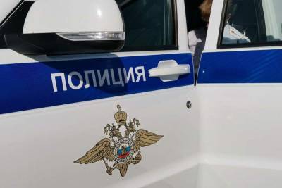 В Новомосковске полиция расследовала дело в садовом товариществе «Вишенка»
